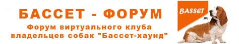 basset forum