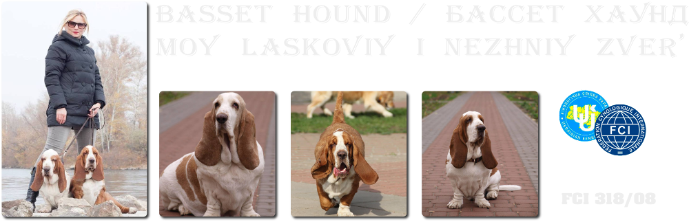 &quot;MOY LASKOVIY I NEZHNIY ZVER' &quot;