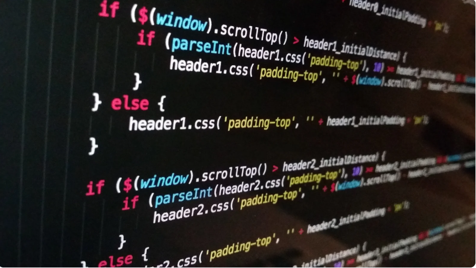 cv junior developer cv junior developer
